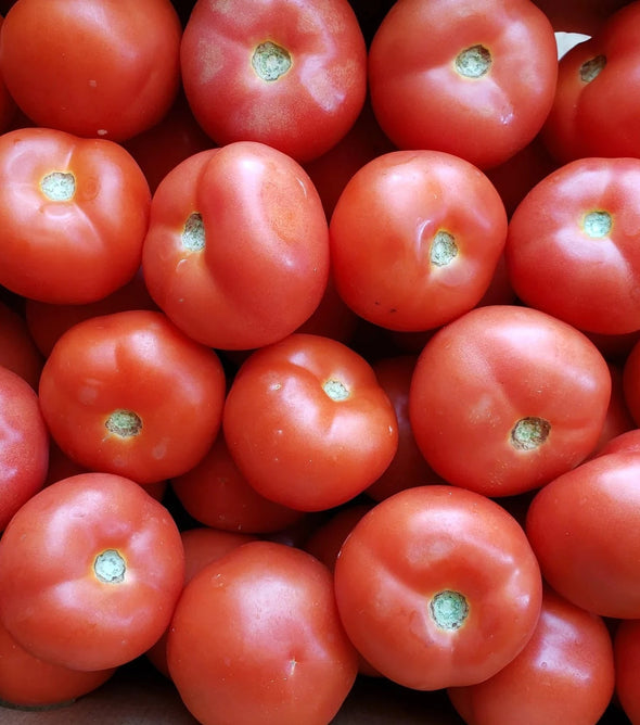 Tomato Gourmet