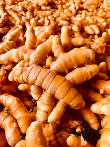 Fresh Turmeric(Haldi)