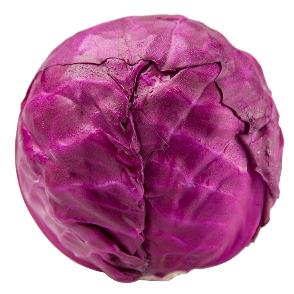 Cabbage Red Full