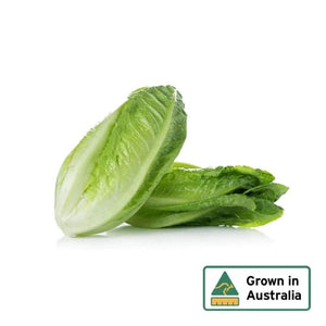 Lettuce Baby Cos Twin Pack