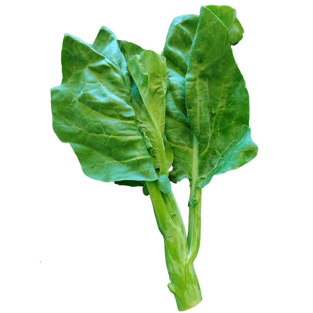 Chinese Broccoli