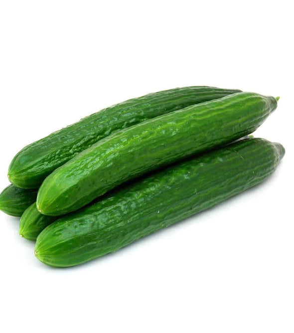 Continental Cucumber