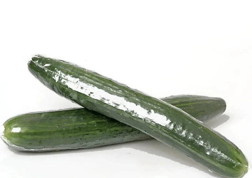 Continental Cucumber
