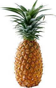 Pineapple XL