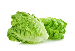 Lettuce Baby Cos Twin Pack
