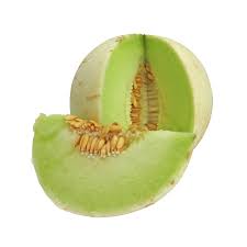 Honey Dew Melon