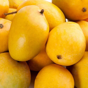 Mango KP