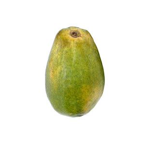 Papaya