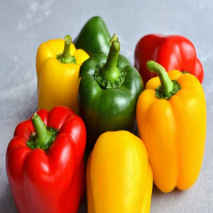 Mix Capsicum