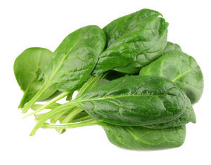 Spinach Bunch