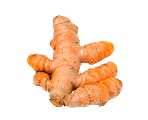 Fresh Turmeric(Haldi)