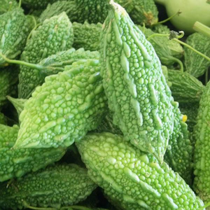 Bitter Melon Baby(Karele Small)