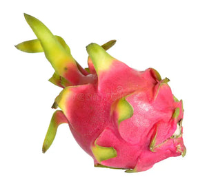 Dragon Fruit